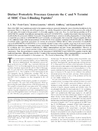 Peptides and N Termini of MHC Class I-Binding Distinct Proteolytic