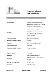 Inspector's Report ABP-305163-19