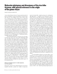 Molecular Phylogeny and Divergence of the Rice Tribe Oryzeae, with Special Reference to the Origin of the Genus Oryza