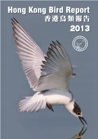 觀鳥者天堂： a Bird- 米埔自然保護區 Watcher’S Paradise