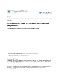 Fishes Identification Guide for Chesmmap and NEAMAP Diet Analysis Studies