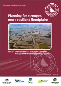 Planning for Stronger More Resilient Floodplains