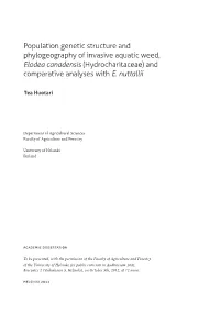Population Genetic Structure and Phylogeography of Invasive Aquatic Weed, Elodea Canadensis (Hydrocharitaceae) and Comparative Analyses with E