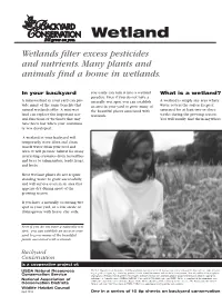 Wetland Tip Sheet-2.Q