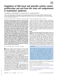 Regulation of ERK Basal and Pulsatile Activity Control Proliferation and Exit from the Stem Cell Compartment in Mammalian Epidermis