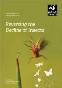 Reversing the Decline of Insects