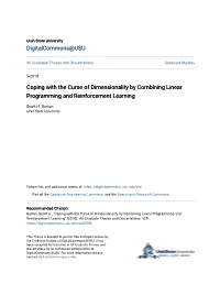 Coping with the Curse of Dimensionality by Combining Linear Programming and Reinforcement Learning
