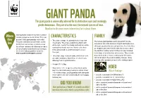 GIANT PANDA the Giant Panda Is Universally Admired for Its Distinctive Eyes and Seemingly Gentle Demeanour