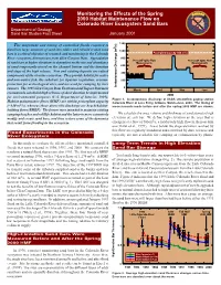 Monitoring the Effects of the Spring 2000 Habitat Maintenance Flow on Colorado River Ecosystem Sand Bars