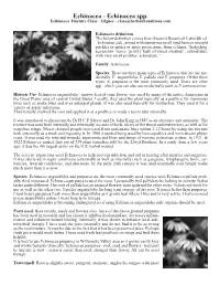 Echinacea Spp. Echinacea Tincture Class - Tilgner - Class@Herbaltransitions.Com