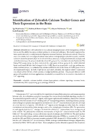 Identification of Zebrafish Calcium Toolkit Genes and Their Expression
