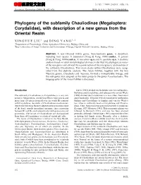 Megaloptera: Corydalidae), with Description of a New Genus from the Oriental Realm