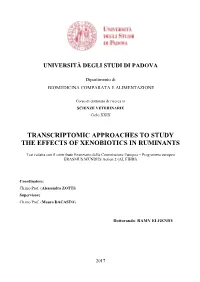 Transcriptomic Approaches to Study the Effects of Xenobiotics in Ruminants