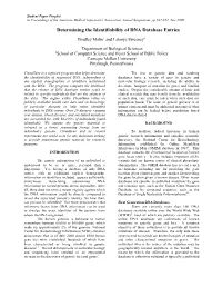 Determining the Identifiability of DNA Database Entries