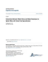 Interactions Between Water-Stress and Maize Resistance to Spider Mites with Varied Host Specialization