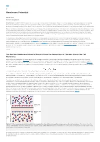 7 Membrane Potential