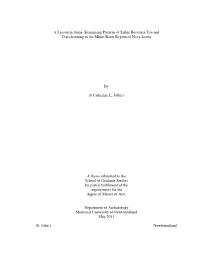 A Lesson in Stone: Examining Patterns of Lithic Resource Use and Craft-Learning in the Minas Basin Region of Nova Scotia By