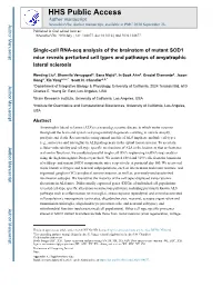 Single-Cell RNA-Seq Analysis of the Brainstem of Mutant SOD1 Mice Reveals Perturbed Cell Types and Pathways of Amyotrophic Lateral Sclerosis
