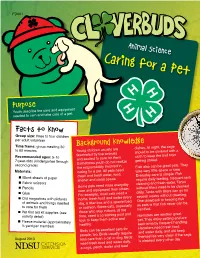 Caring for a Pet