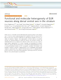 Functional and Molecular Heterogeneity Of