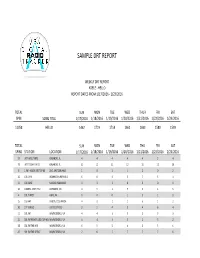 Sample Drt Report