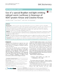 Use of a Special Brazilian Red-Light Emitting Railroad Worm Luciferase In