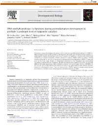DNA Methyltransferase 1O Functions During Preimplantation Development to Preclude a Profound Level of Epigenetic Variation