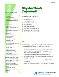 Why Are Plants Important?