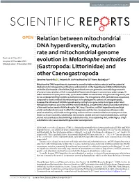 Downloaded from Genbank Were Corrected Following Criteria Detailed Hereunder, Urging the Need of Following a Standardised Protocol to Annotate Mitogenome Data