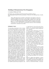 Modeling of Metamaterials in Wave Propagation