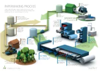 Papermaking PROCESS to Separate the Component Fibres