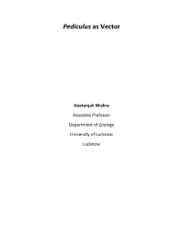 Pediculus As Vector