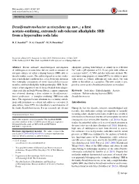 A First Acetate-Oxidizing, Extremely Salt-Tolerant