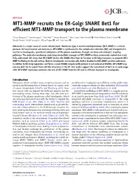MT1-MMP Recruits the ER-Golgi SNARE Bet1 for Efficient MT1-MMP Transport to the Plasma Membrane