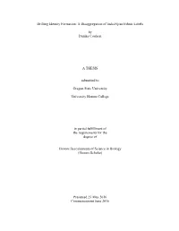 Drifting Identity Formation: a Disaggregation of Indo-Fijian Ethnic Labels