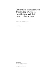 Lepidoptera of Small-Leaved Divaricating Olearia in New Zealand and Their Conservation Priority