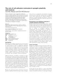 Role of Cell Adhesion Molecules in Synaptic Plasticity and Memory