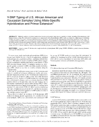 Y-SNP Typing of U.S. African American and Caucasian Samples Using Allele-Speciﬁc ∗ Hybridization and Primer Extension