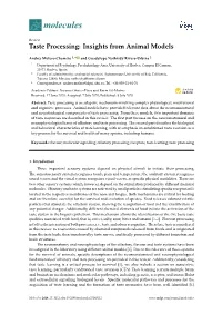 Taste Processing: Insights from Animal Models
