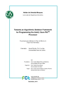 Towards an Algorithmic Skeleton Framework for Programming the Intel R Xeon Phitm Processor