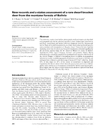 New Records and a Status Assessment of a Rare Dwarf Brocket Deer from the Montane Forests of Bolivia D