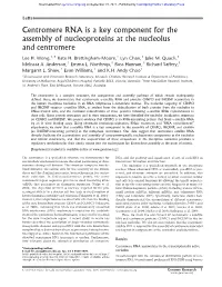 Centromere RNA Is a Key Component for the Assembly of Nucleoproteins at the Nucleolus and Centromere