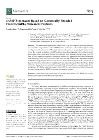 Camp Biosensors Based on Genetically Encoded Fluorescent/Luminescent Proteins