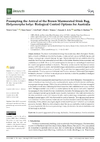 Preempting the Arrival of the Brown Marmorated Stink Bug, Halyomorpha Halys: Biological Control Options for Australia
