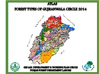 Forest Atlas Gives a Fair Picture of Locations of Forest Resources with Respect to Forest Types at Forest Division, Circle, Zonal and Punjab Levels with Areas