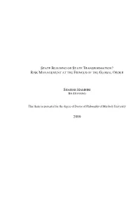 State Building Or State Transformation? Risk Management at the Fringes of the Global Order
