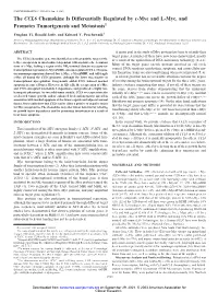 The CCL6 Chemokine Is Differentially Regulated by C-Myc and L-Myc, and Promotes Tumorigenesis and Metastasis1