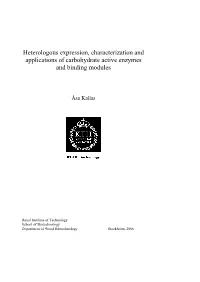 Heterologous Expression, Characterization and Applications of Carbohydrate Active Enzymes and Binding Modules