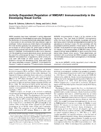 Activity-Dependent Regulation of NMDAR1 Immunoreactivity in the Developing Visual Cortex