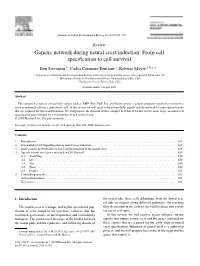 Genetic Network During Neural Crest Induction: from Cell Specification to Cell Survival